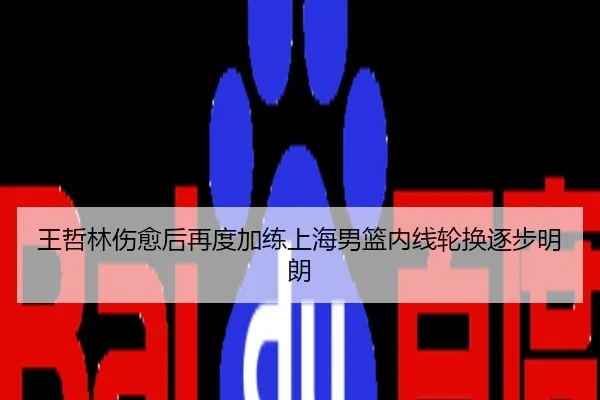 王哲林伤愈后再度加练上海男篮内线轮换逐步明朗